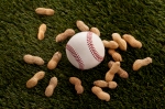 Kozzi-baseball-ball-surrounded-by-ground-nuts-1774 X 1183
